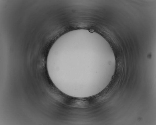 X0000094320555200711241809
