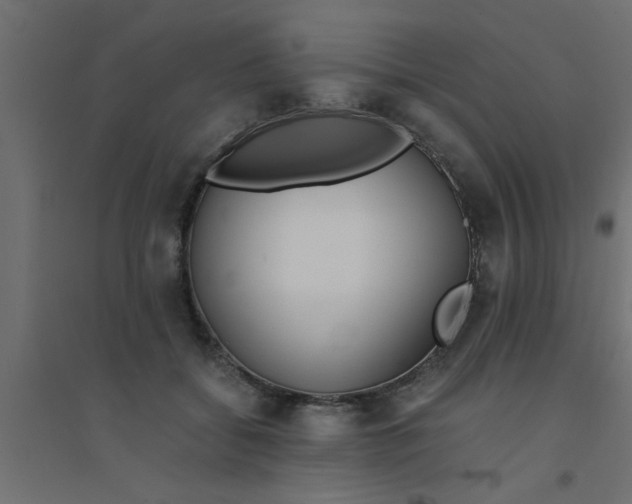 X0000094320556200711241809