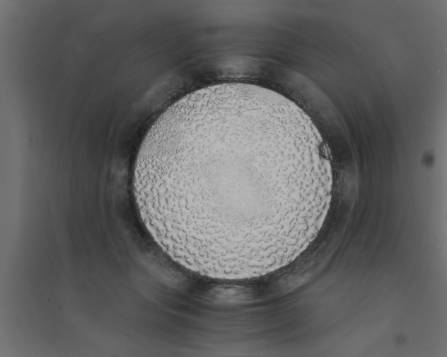X0000094320557200711241809