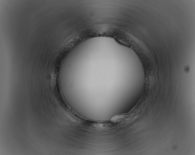 X0000094320558200711241809