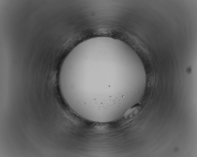X0000094320560200711241809