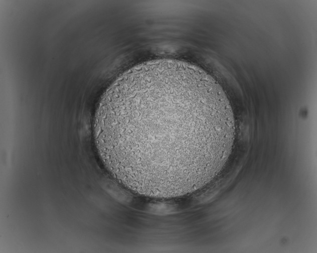 X0000094320561200711241809