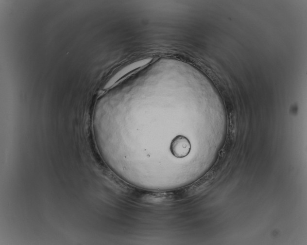 X0000094320563200711241809