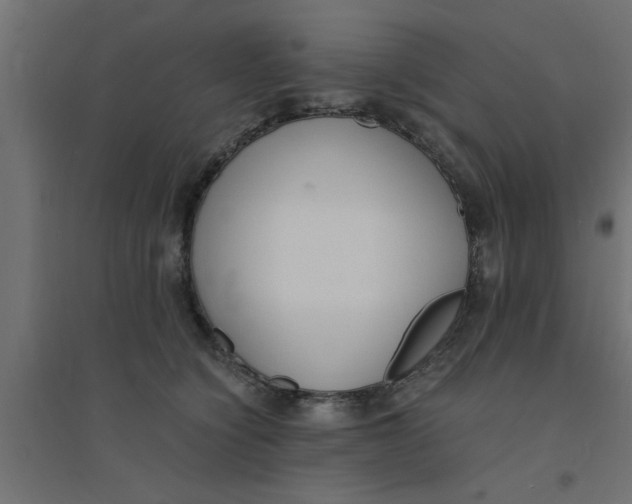 X0000094320564200711241809