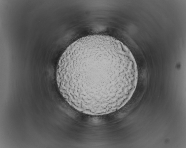 X0000094320565200711241809