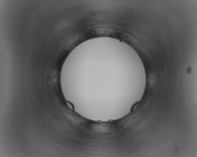 X0000094320567200711241809