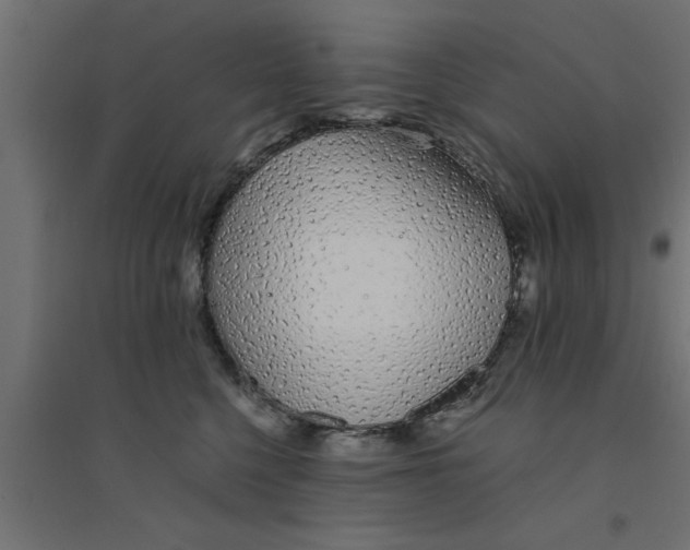 X0000094320568200711241809