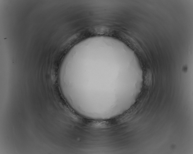 X0000094320569200711241809