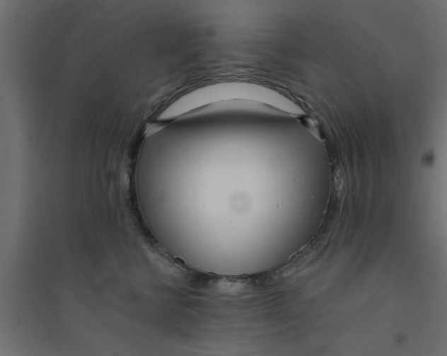 X0000094320570200711241809