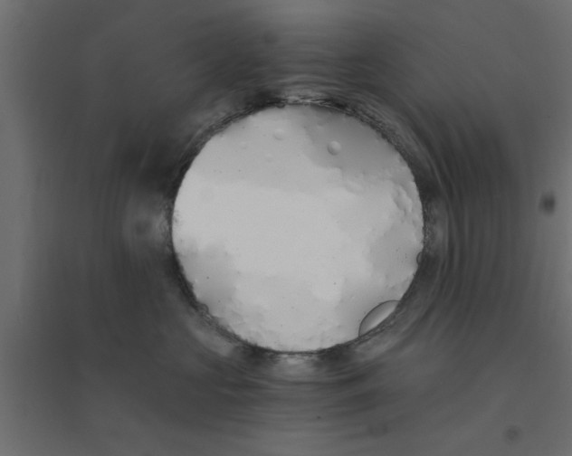 X0000094320573200711241809
