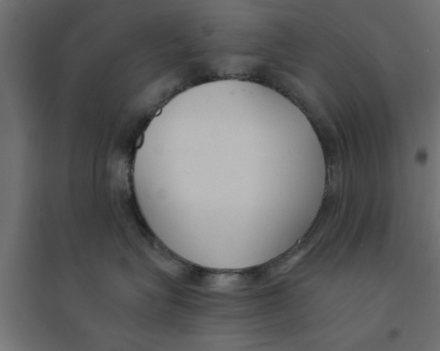 X0000094320575200711241810