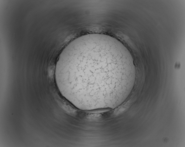 X0000094320576200711241810