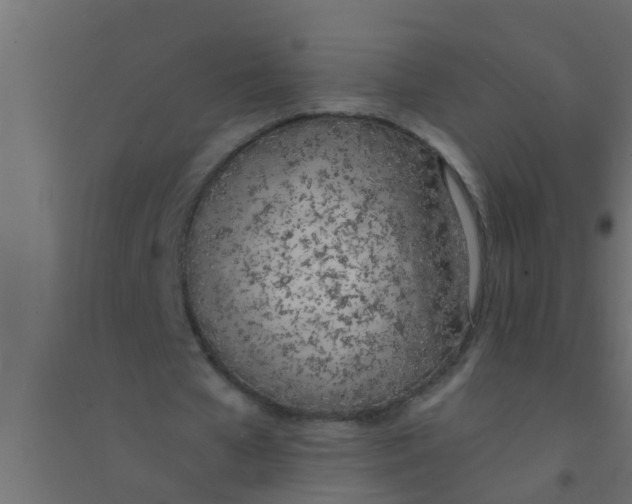 X0000094320577200711241809