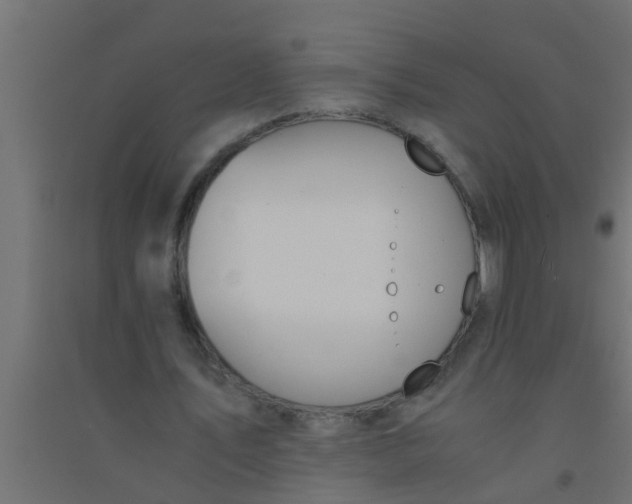 X0000094320579200711241809