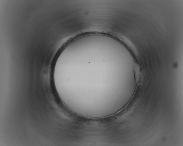 X0000094320580200711241809