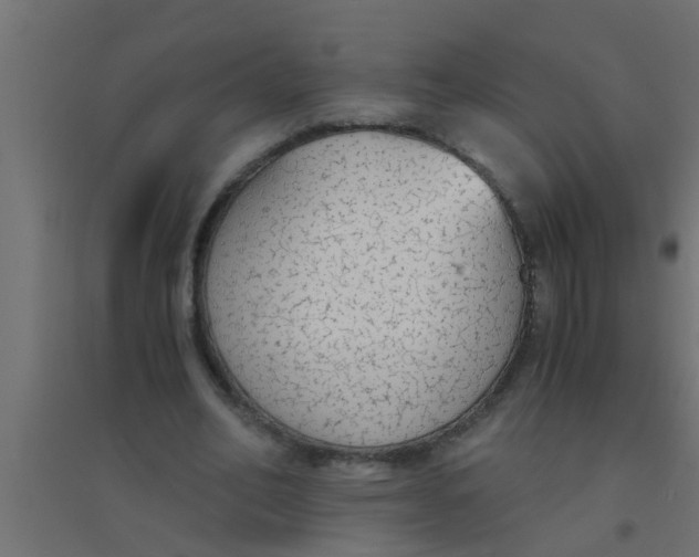 X0000094320582200711241809