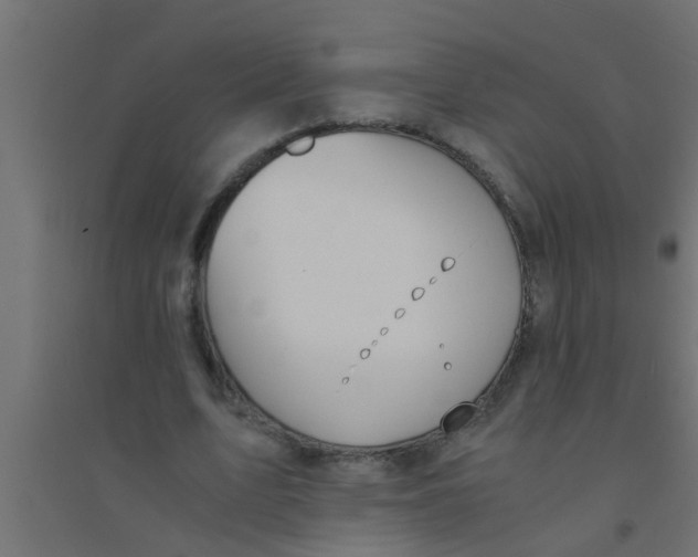 X0000094320583200711241809