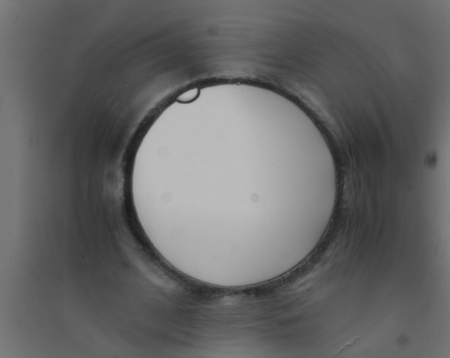X0000094320584200711241809