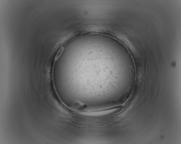 X0000094320585200711241809