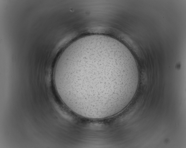 X0000094320586200711241809