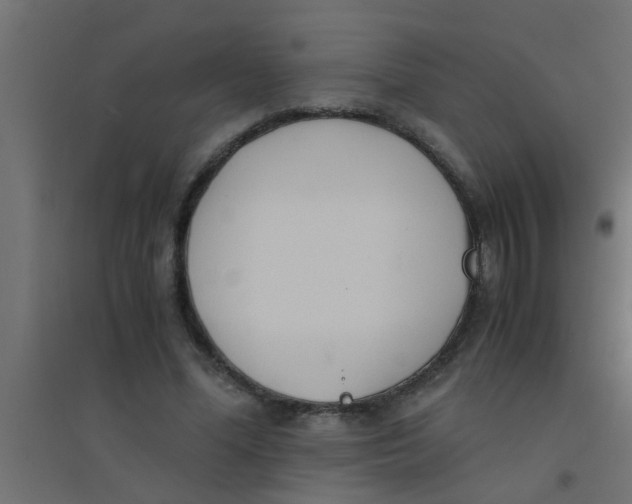 X0000094320588200711241809