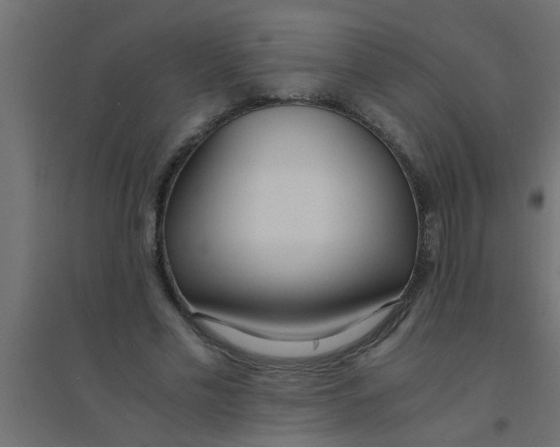 X0000094320589200711241809