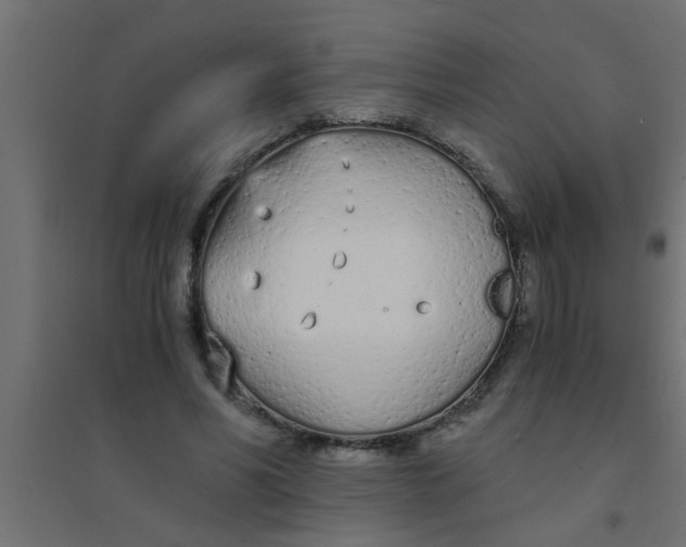 X0000094320590200711241809