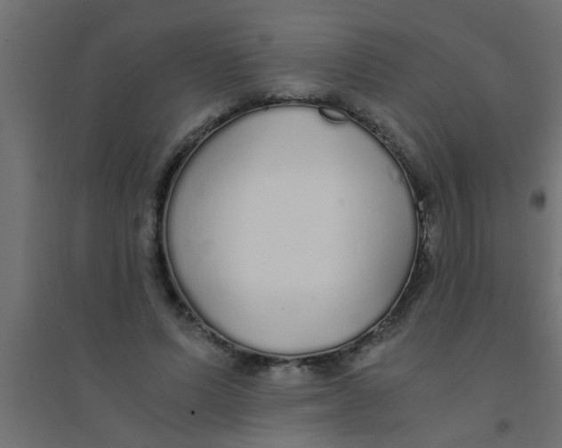 X0000094320591200711241809