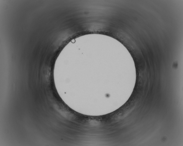 X0000094320592200711241809