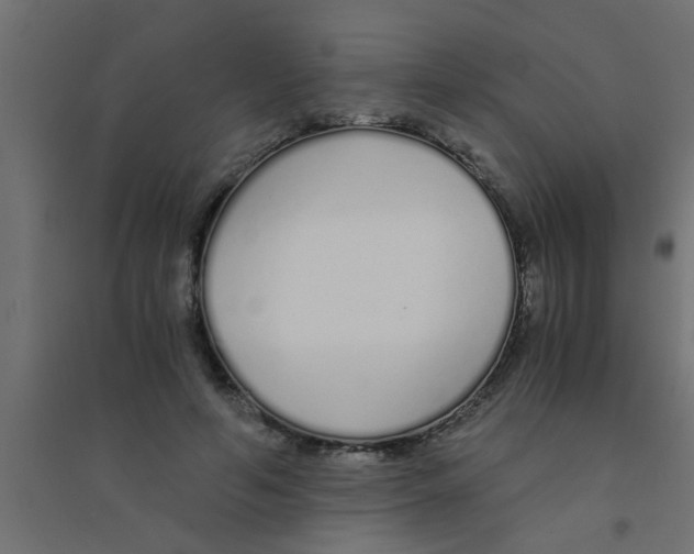 X0000094320594200711241809
