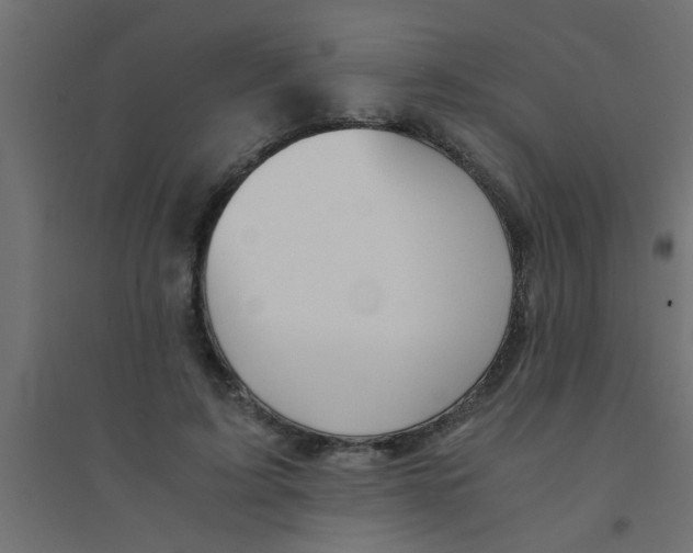 X0000094320595200711241809