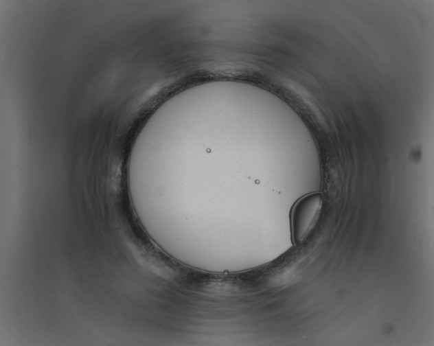 X0000094320596200711241809