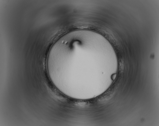 X0000094320598200711241809
