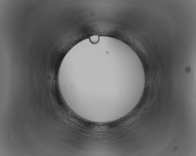 X0000094320599200711241809