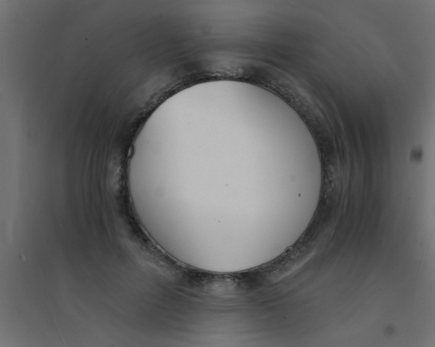X0000094320600200711241809