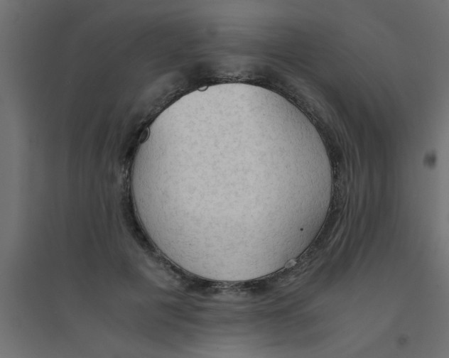 X0000094320601200711241809