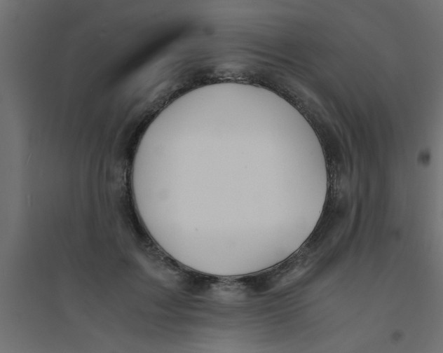 X0000094320603200711241809