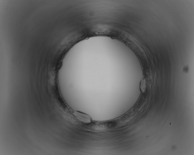 X0000094320604200711241808