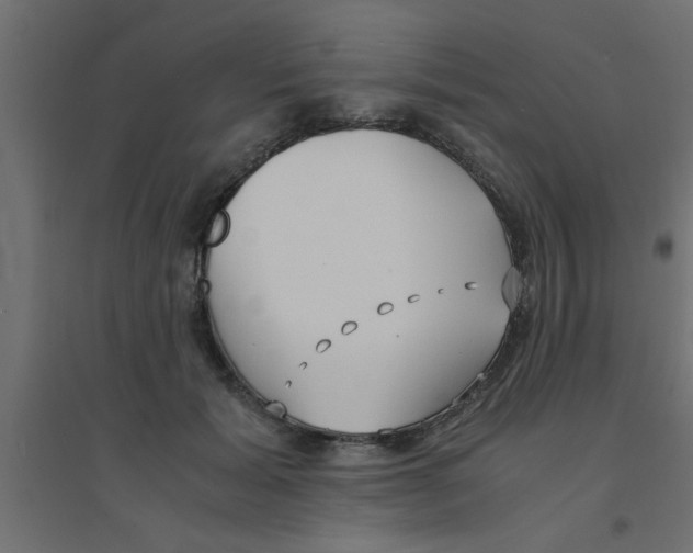 X0000094320605200711241808
