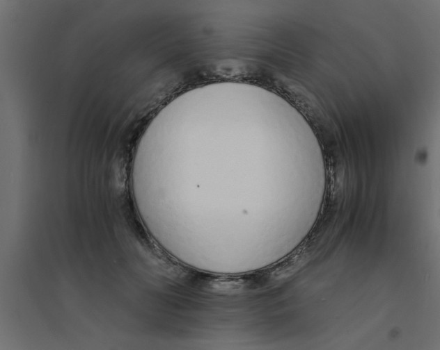 X0000094320606200711241808