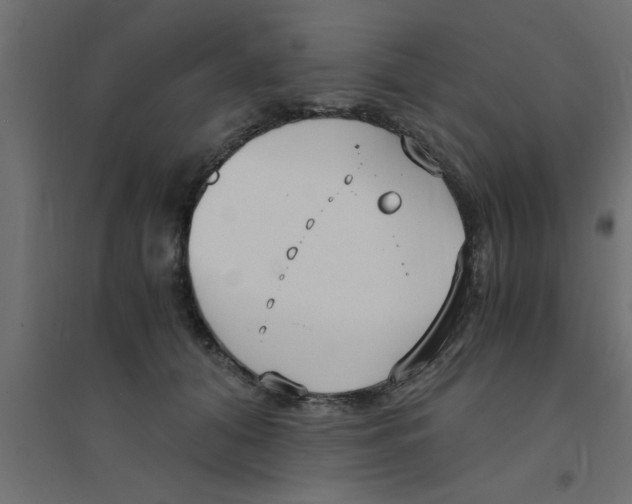 X0000094320608200711241808