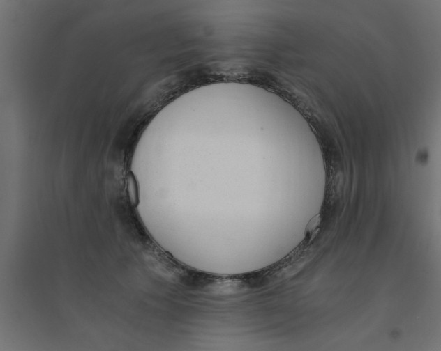X0000094320609200711241808