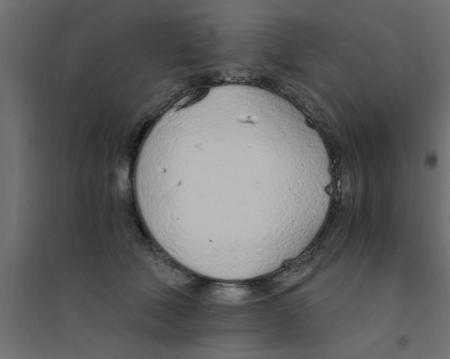 X0000094320610200711241808