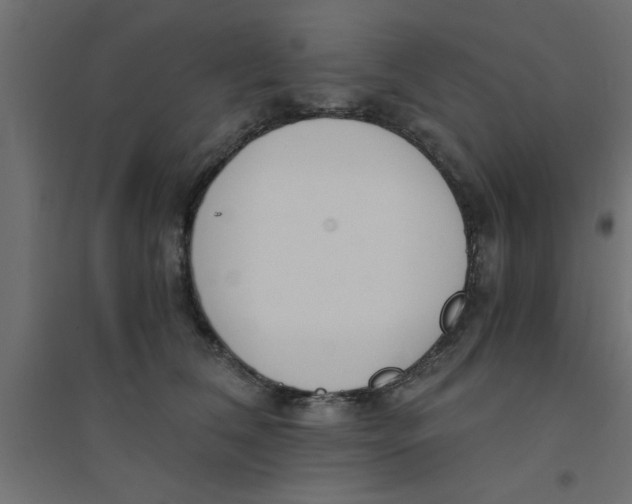 X0000094320612200711241808
