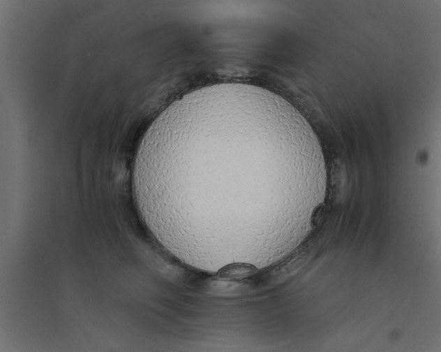 X0000094320614200711241808