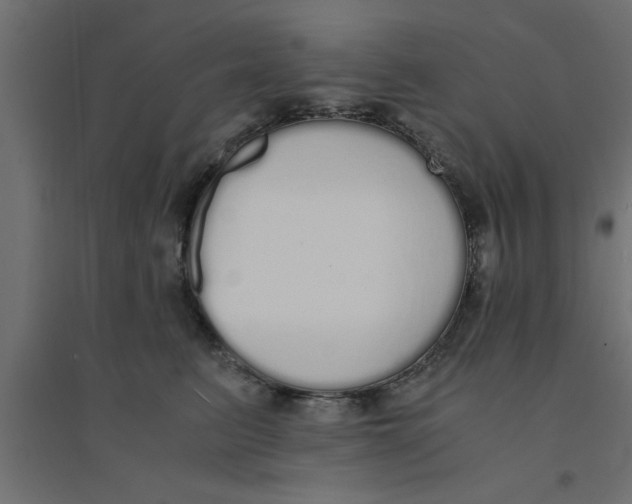 X0000094320615200711241808