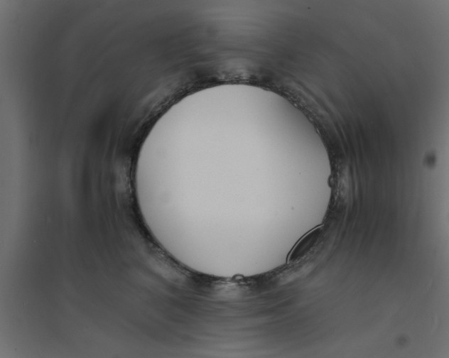 X0000094320616200711241808