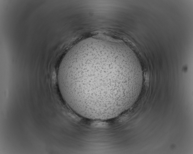 X0000094320617200711241808