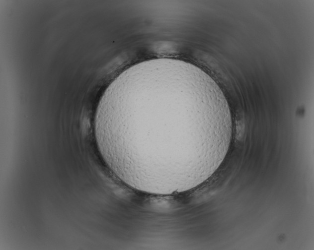 X0000094320618200711241808