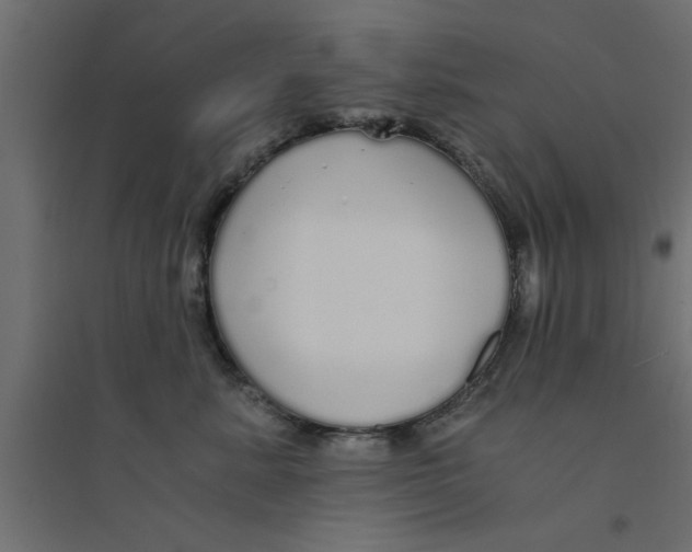 X0000094320619200711241808